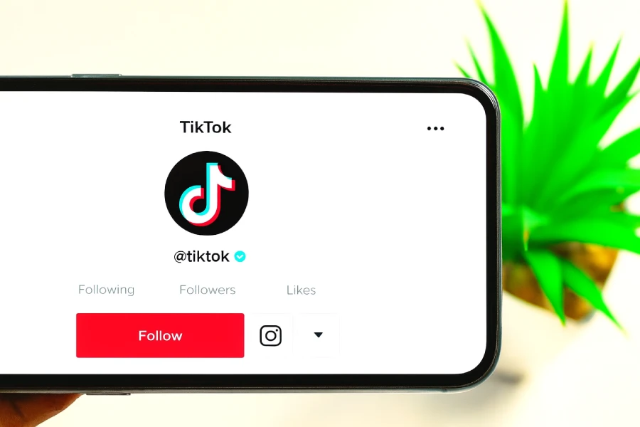 Como Ficar Famoso no TikTok